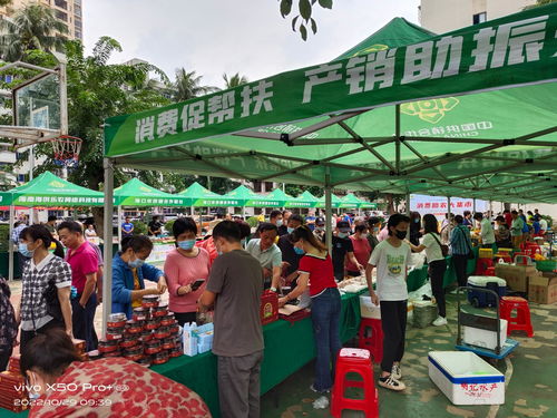消費助農大集市 兩場活動銷售農產品超13萬元，助農增收顯成效